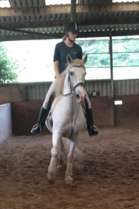 KS Riding Horse
